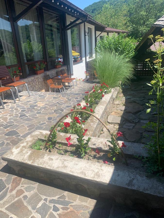 No Comment Rustic Hotel Curtea de Argeş Buitenkant foto